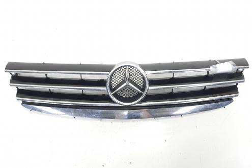 Grila bara fata, Mercedes Clasa A (W169) (id:488868)