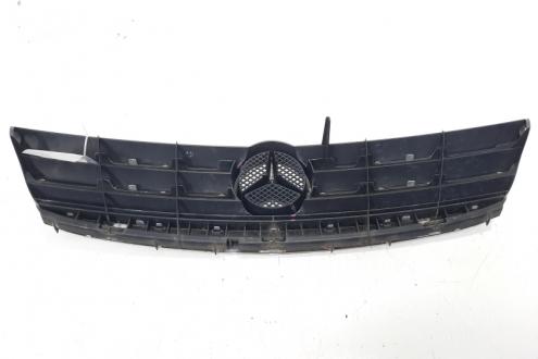 Grila bara fata, Mercedes Clasa A (W169) (id:488868)