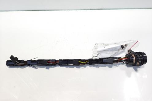 Instalatie electrica injectoare, cod 038971803, Audi A3 Sportback (8PA)  2.0 tdi, BMM (idi:483895)
