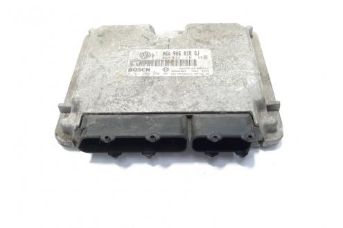 Calculator motor , cod 06A906018GJ, Skoda, 2.0 B, AZJ (idi:483017)