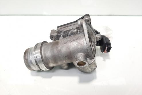 Clapeta acceleratie, cod 161A09794R, Renault, 1.5 DCI, K9K830 (idi:484113)