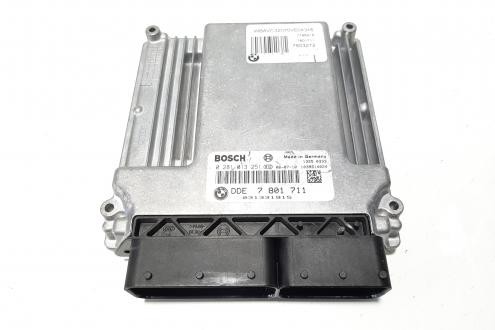 Calculator motor, cod 7801711, 0281013251, Bmw 3 Touring (E46) 2.0 D, 204D4 (idi:483251)