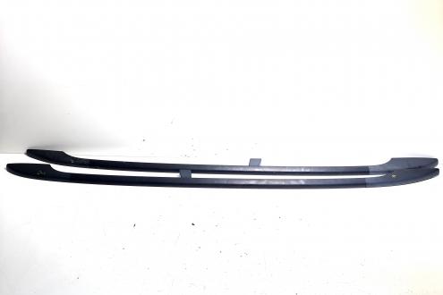 Set bare longitudinale, Vw Passat Variant (3C5) (id:514302)