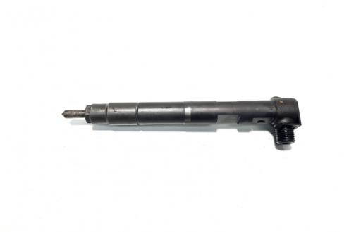 Injector, cod A6510700587, Mercedes Clasa E (W212) 2.2 CDI, OM651924 (id:520431)