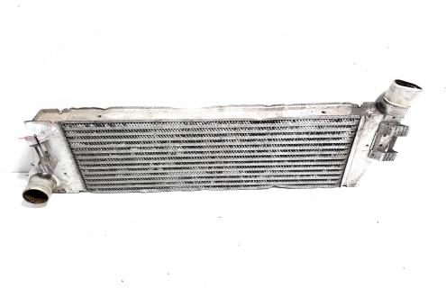 Radiator intercooler, cod 8200700172, Renault Megane 2 Combi, 1.5 DCI, K9K6724 (idi:515829)