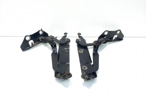 Set balamale capota spate, Jaguar XF (X250) (id:528204)