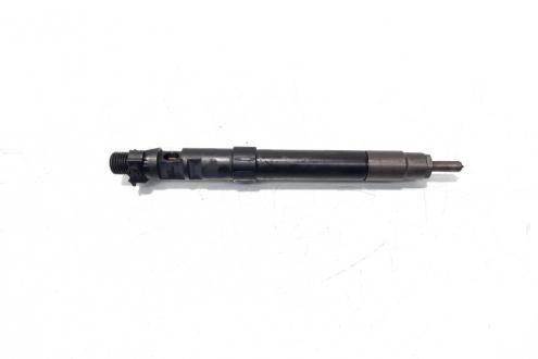 Injector, cod 9686191080, EMBR00101D, Ford Kuga I, 2.0 TDCI, TXDA (id:529999)