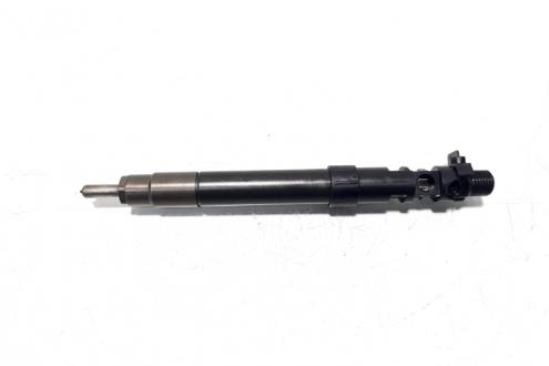Injector, cod 9686191080, EMBR00101D, Ford Galaxy 2, 2.0 TDCI, UFWA (id:529909)