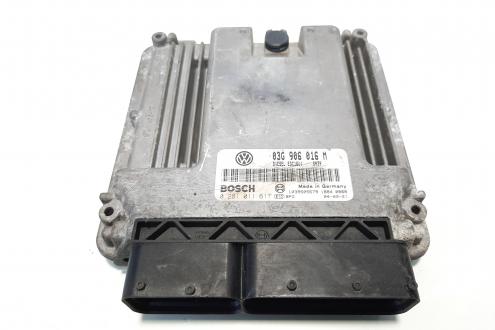 Calculator motor, cod 03G906016M, 0281011617, VW Golf 5 (1K1), 2.0 SDI, BDK (id:535398)