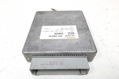 Calculator motor, cod 1M5F-12A650-BD, Ford Focus 1, 1.6 benz, FYDB (id:538528)