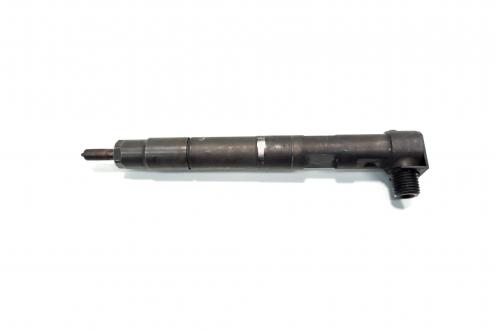 Injector Delphi, cod A6510702887, Mercedes Clasa E (W212) 2.2 CDI, OM651924 (id:542190)