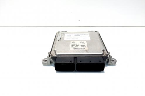 Calculator motor, cod A6519005301, A6519013301, Mercedes Clasa C T-Model (S204) 2.2 CDI, OM651911 (id:542817)