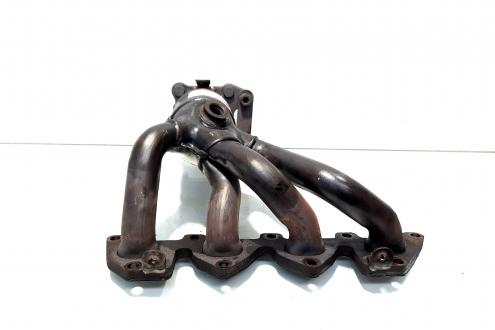 Catalizator, cod 036178EA, AA, Vw Polo (9N) 1.4 benz, AUA (idi:545229)