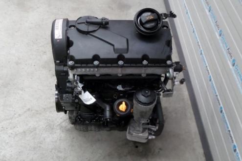 Motor, BKC, Vw Jetta 3 (1K2) 1.9tdi (pr:111745)