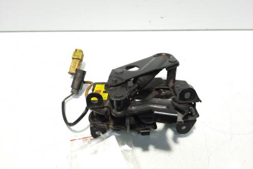 Broasca capota fata stanga, cod 7184441, Bmw 5 (F10) (id:553472)