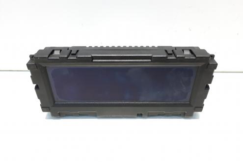 Display bord, cod GM12844841, Opel Insignia A (id:554852)