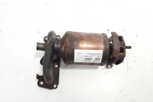 Catalizator, cod 03D131701G, Seat Ibiza 4 (6L1), 1.2 benz, BBM (pr:110747)