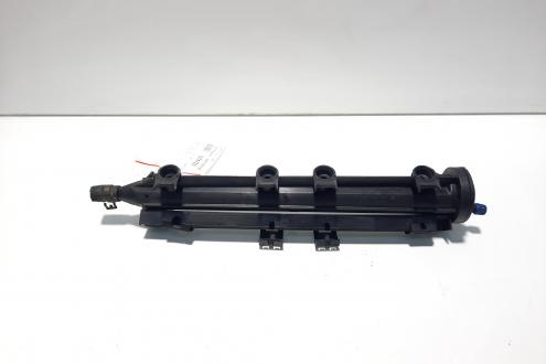 Rampa injectoare, cod 06A133317AC, Audi A3 (8P1), 1.6 benz, BGU (id:574723)