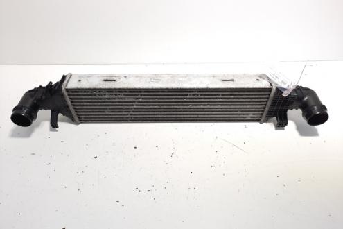 Radiator intercooler, cod 42045000200, Mercedes Clasa E (W212), 2.2 CDI, OM651925 (id:578117)