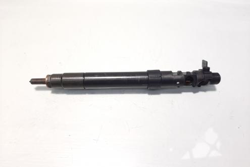 Injector, cod 9686191080, EMBR00101D, Ford Galaxy 2, 2.0 TDCI, UFWA (id:583303)
