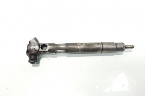 Injector Delphi, cod A6510700587, Mercedes Clasa CLA Shooting Brake (X117), 2.2 CDI, OM651930 (idi:585046)
