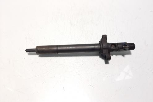 Injector Delphi, cod 9656389980, EJBR03801D, Peugeot 407 SW, 2.0 HDI, RHR (id:595376)