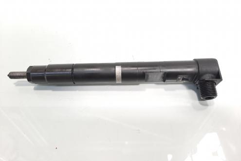 Injector Dephi, cod A6510704987, Mercedes Clasa E (W212) 2.2 CDI, OM651924 (id:597855)
