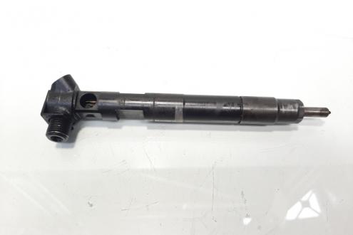 Injector Delphi, cod A6510702887, Mercedes Clasa C (W204), 2.2 CDI, OM651911 (idi:600734)