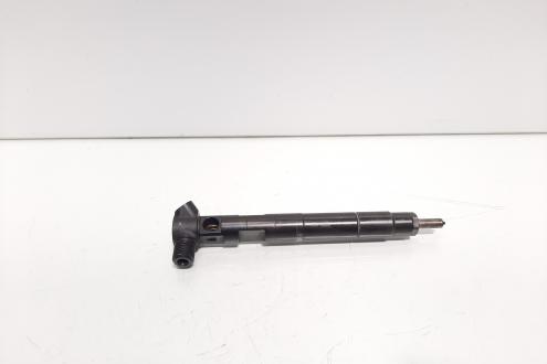 Injector Delphi, cod A6510702887, Mercedes Clasa E T-Model (S212), 2.2 CDI, OM651924 (idi:600325)
