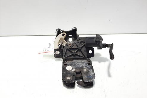 Broasca haion, Audi A4 (8EC, B7) (idi:607922)