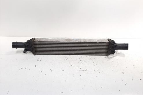 Radiator intercooler, Audi A6 Avant (4F5, C6) 2.0 TDI, CAG (idi:607521)