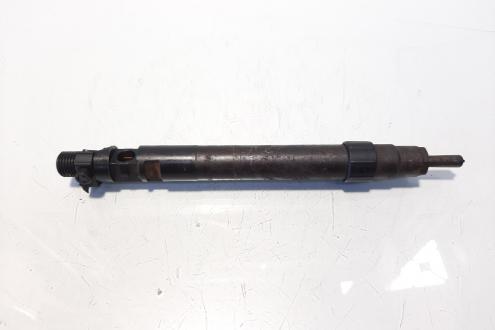 Injector, cod 9686191080, EMBR00101D, Ford Kuga I, 2.0 TDCI, UFDA (idi:609621)