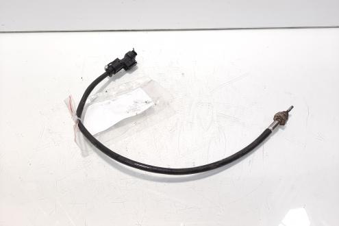 Sonda temperatura gaze, cod 7811913, Bmw 3 Coupe (E92), 2.0 diesel, N47D20C (idi:596868)