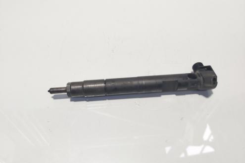 Injector Delphi, cod A6510702887, Mercedes Clasa C T-Model (S204), 2.2 CDI, OM651911 (idi:624258)