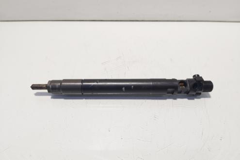 Injector, cod 9686191080, EMBR00101D, Ford Galaxy 2, 2.0 TDCI, UFWA (id:634167)