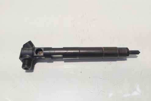 Injector Delphi, cod A6510702887, Mercedes Clasa E (W212), 2.2 CDI, OM651924 (id:634689)