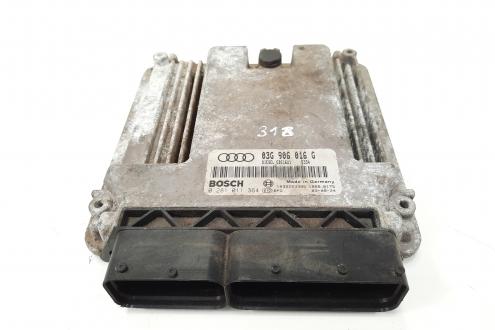 Calculator motor, cod 03G906016G, 0281011364, Skoda Superb II (3T4), 2.0 TDI, BKD (idi:550039)