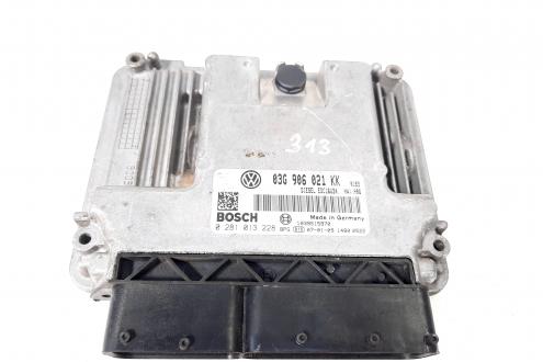 Calculator motor, cod 03G906021KK, 0281013228, Seat Toledo 3 (5P2) 2.0 TDI, BKD (idi:549983)