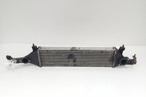 Radiator intercooler, cod Y8396003, Nissan Qashqai, 1.6 DCI (id:640292)