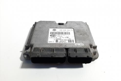 Calculator motor, cod 036906034FD, Skoda Fabia 1 Sedan (6Y3) 1.4 benz, BBY (idi:491826)