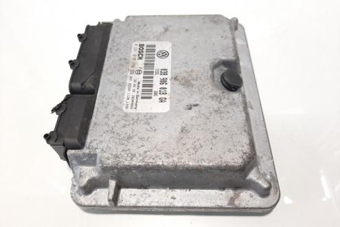 Calculator motor, cod 038906018GA, 0281010170, Audi A4 (8D2, B5) 1.9 TDI, AFN (idi:483433)