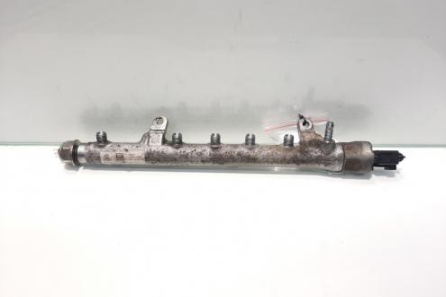 Rampa injectoare cu senzori, cod 03L130089B, Skoda Octavia 2 (1Z3) 1.6 tdi, CAY (idi:474174)