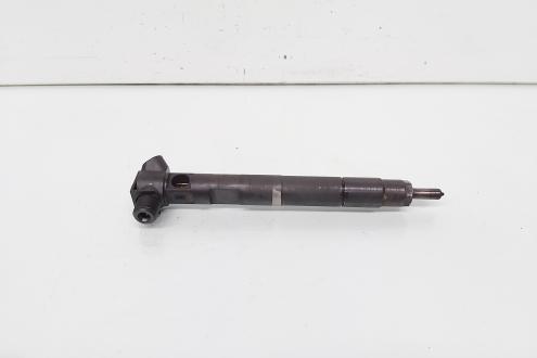 Injector Delphi, cod A6510704987, Mercedes Clasa E (W212), 2.2 CDI, OM651924 (id:648940)