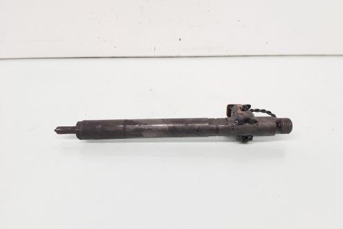 Injector Delphi, cod A6460700987, Mercedes Clasa E (W211) 2.2 CDI, OM646821 (id:649947)