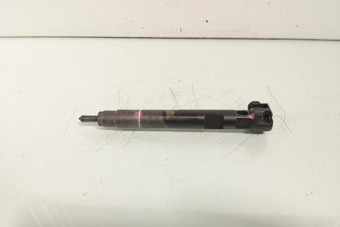 Injector, Delphi cod A6510704987, Mercedes Clasa E (W212), 2.2 CDI, OM651924 (id:640356)