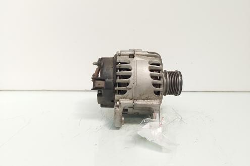 Alternator 110A Valeo, cod 8200495294, Renault Megane 2 1.9 DCI, F9Q804  (id:660042)