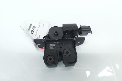 Broasca haion, cod 846300003R, Renault Megane 3 Coupe (id:660733)