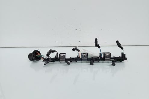 Instalatie electrica injectoare, Vw Passat (3C2) 2.0 TDI, BKP (id:660830)
