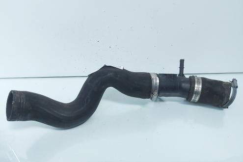 Furtun intercooler, cod CV61-6K863-AE, Ford Focus 3 1.0 benz, M1DA (id:664784)