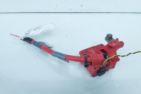 Borna baterie (+) cu capsa, cod 9203570, 9203570, Bmw 3 Coupe (E92) (idi:664692)